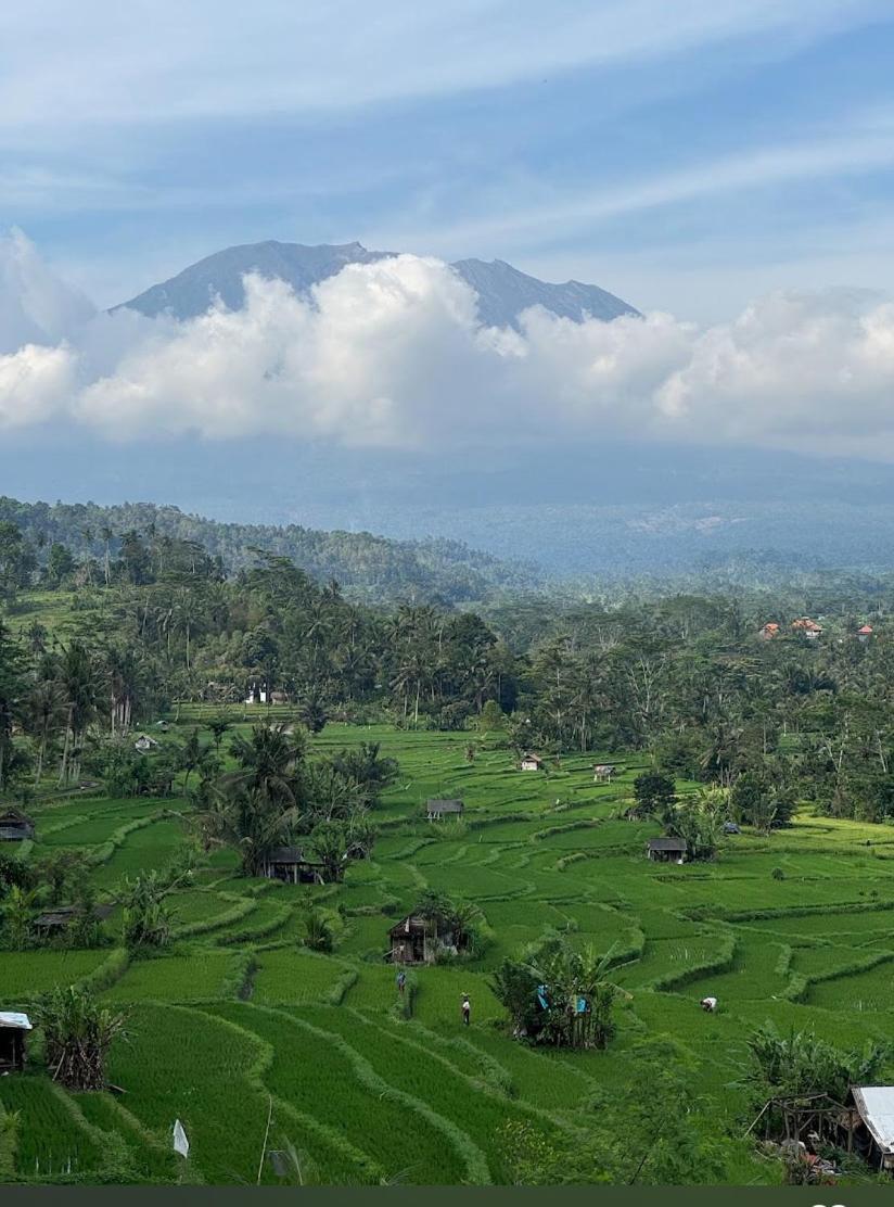 Lumbung Ayu Sari And Spa Сидемен Экстерьер фото