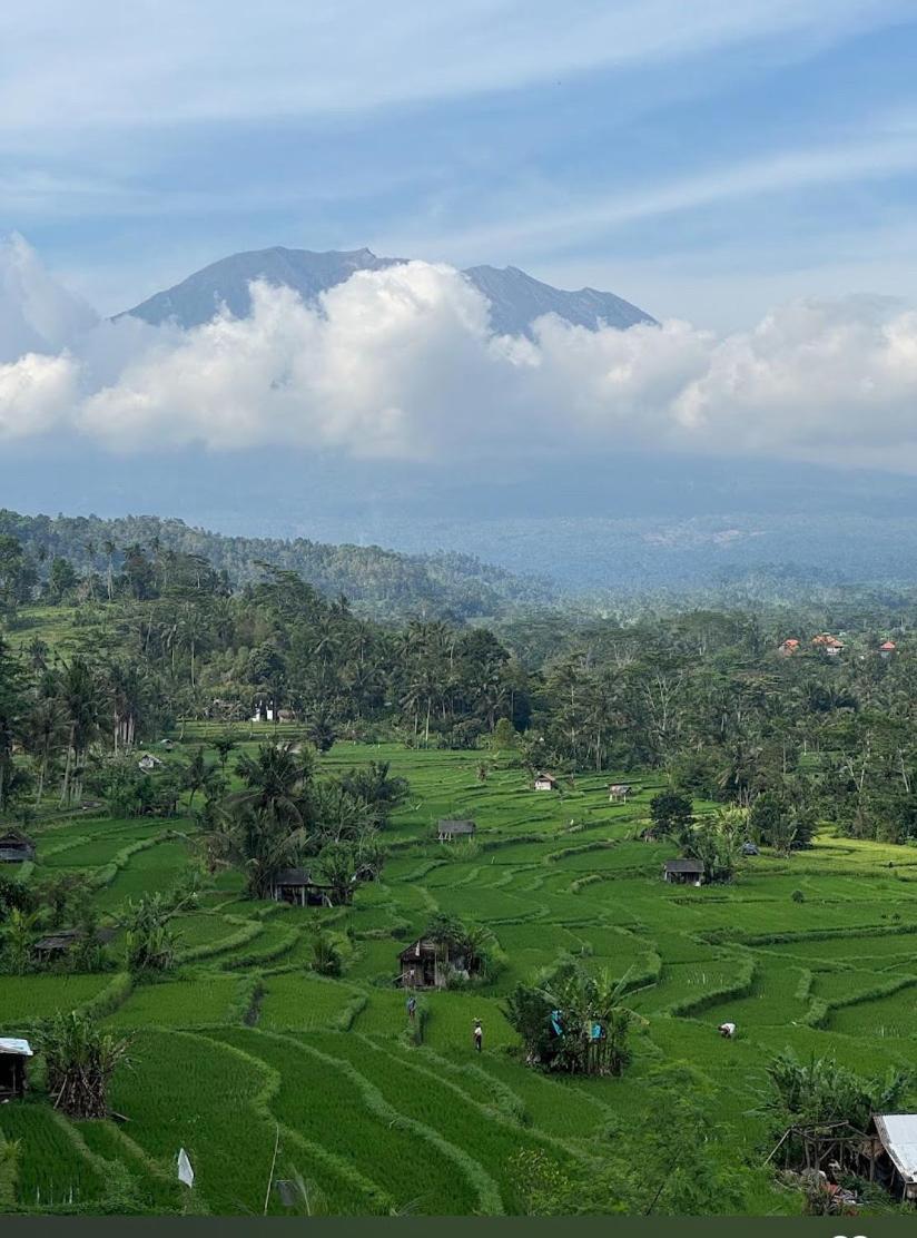 Lumbung Ayu Sari And Spa Сидемен Экстерьер фото