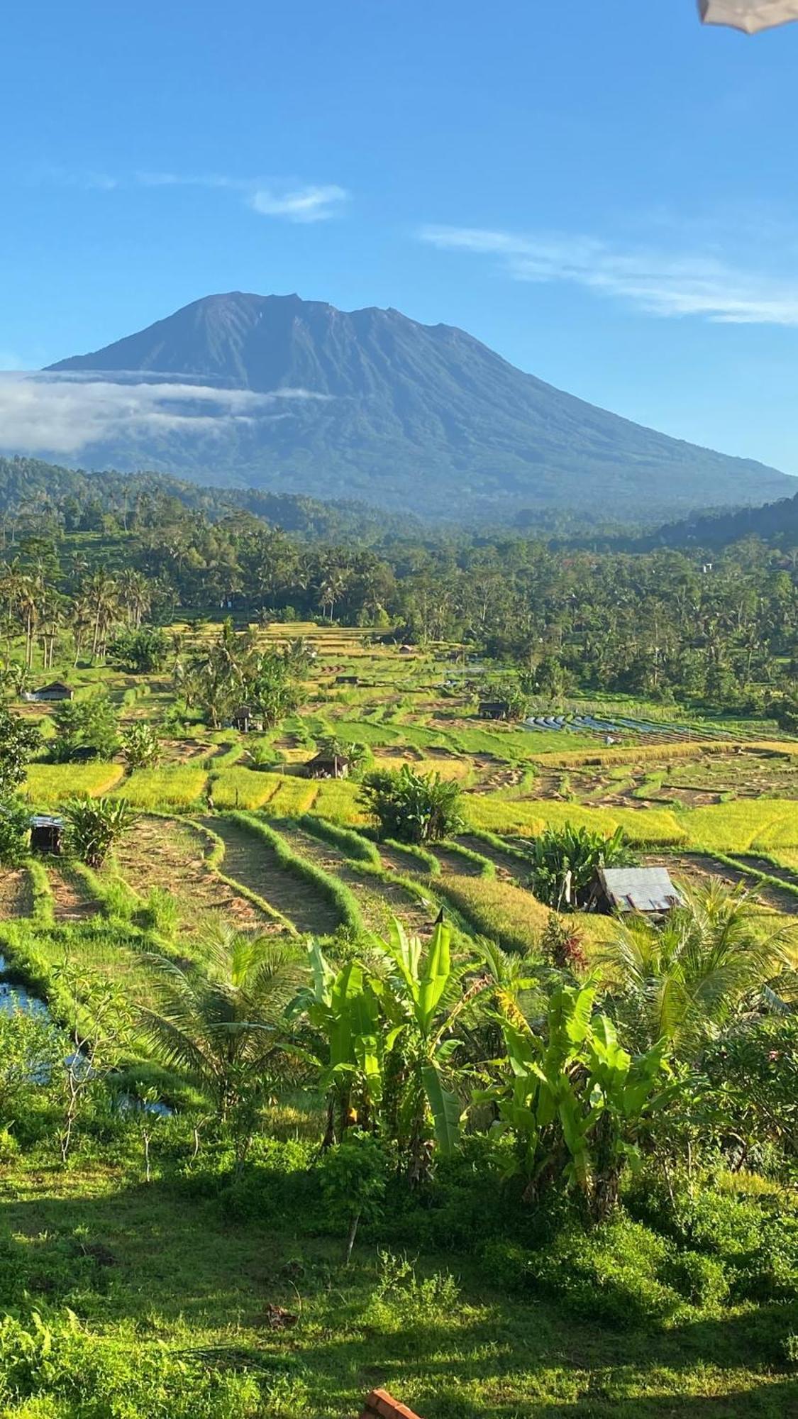Lumbung Ayu Sari And Spa Сидемен Экстерьер фото